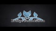 Bridge Foundation | Short Version